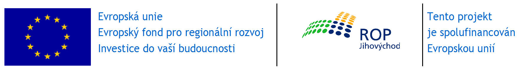 Tento projekt je spolufinancován Evropskou unií