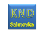 Klub Nadanch Dt na Salmovce